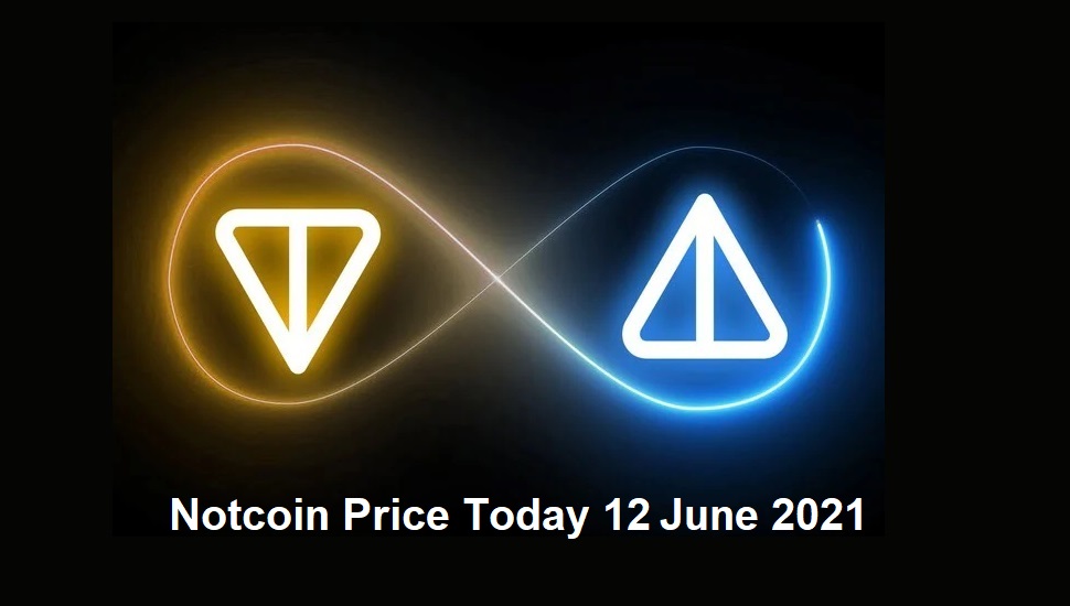 Notcoin Price Today 12 June 2024 : Why NOT Is Still Falling?