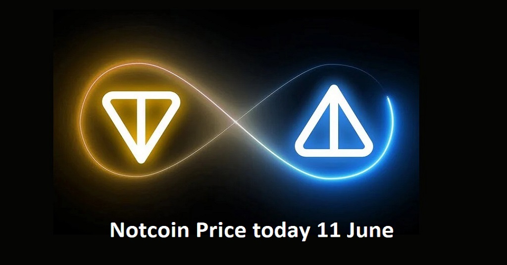 Notcoin Price Today 11 June 2024 : Why Did It Drop?