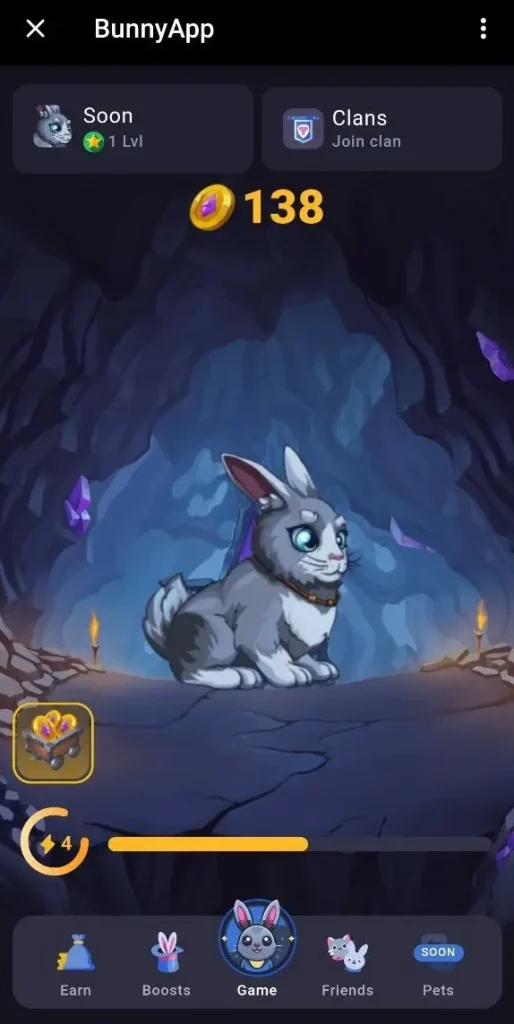 BunnyApp