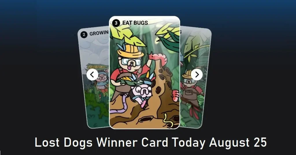 Lost Dogs Winner Card Today August 25