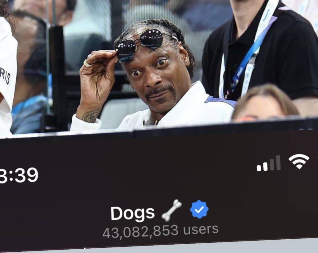 What Is DOGS Project?