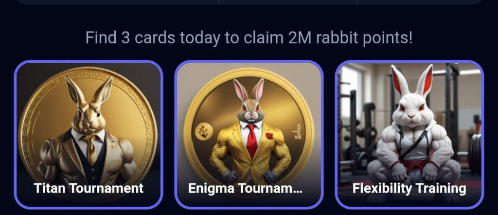 Rocky Rabbit Daily Combo August 27