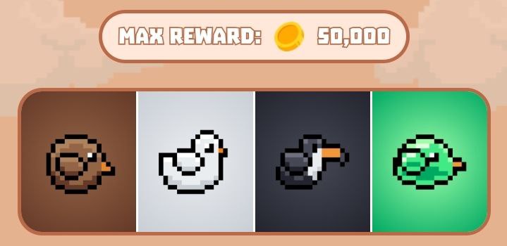 BIRD TON Daily Combo September 8