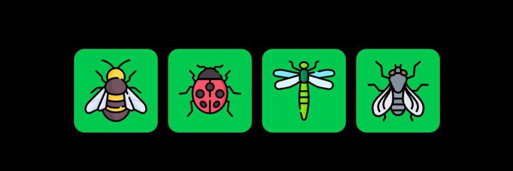 FLIES Daily Combo October 6