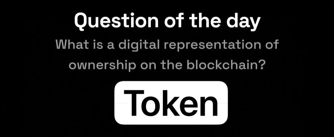 DROPEE Question of The Day November 20