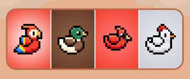 BIRD TON Daily Combo March 5