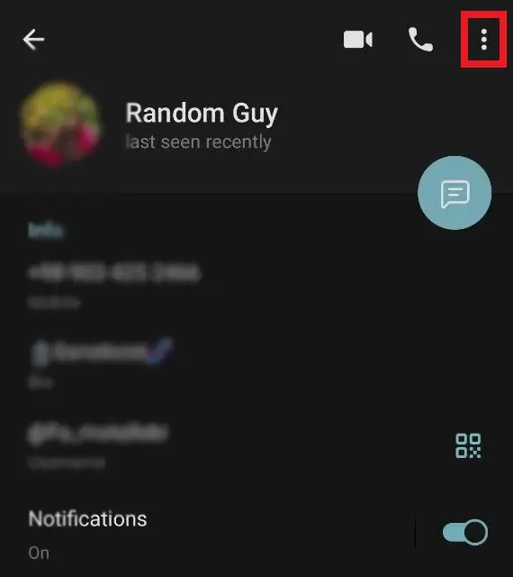 Step 1: Open the Chat