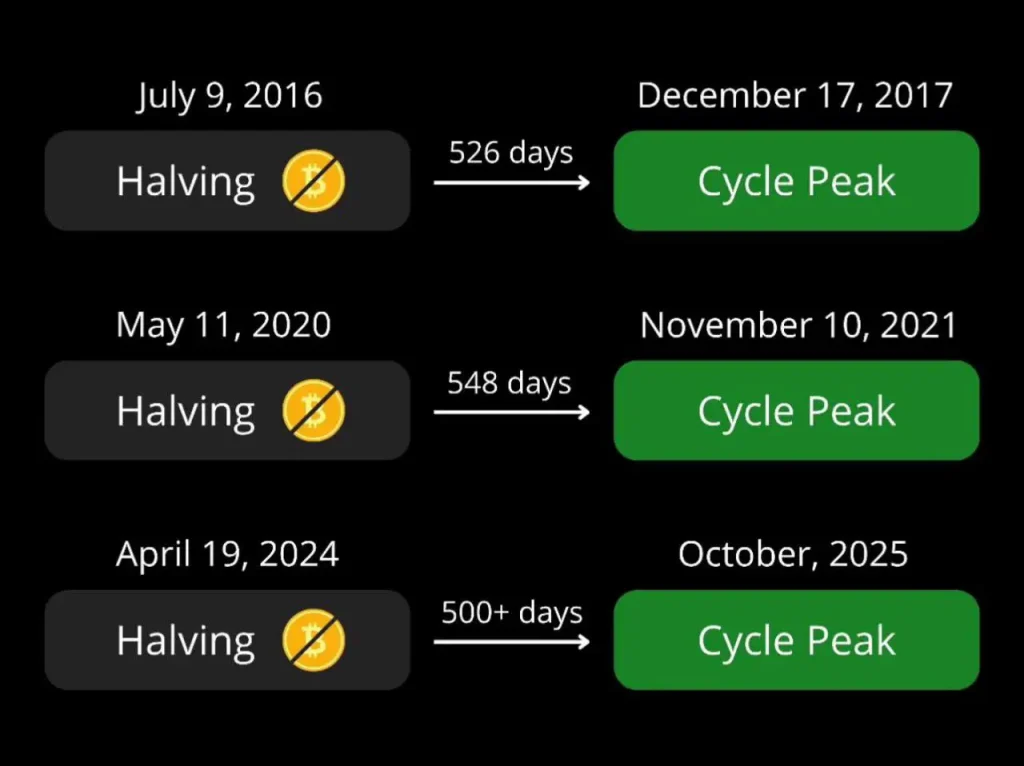 2025 Cycles