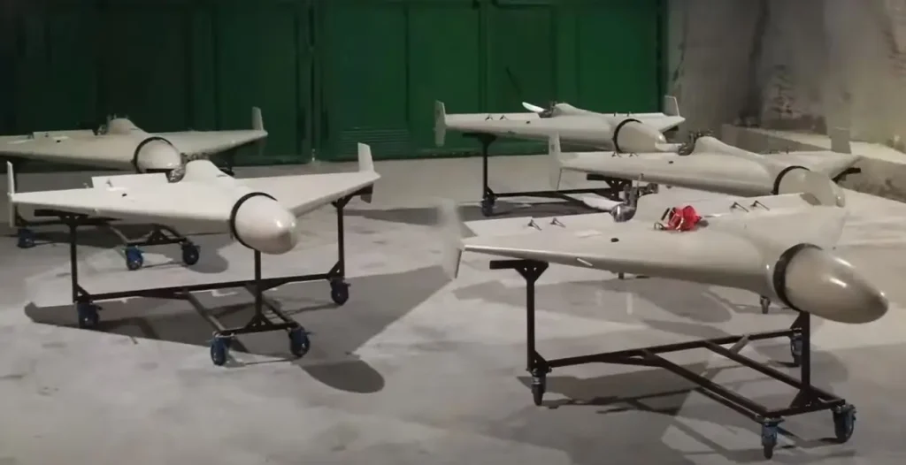 Section 1: Design, Capabilities, and Variants